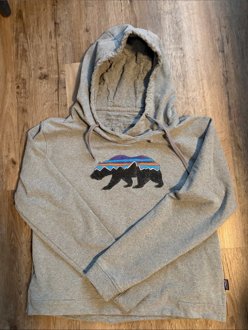 Patagoina Hoodie with Mountain Bear Graphic